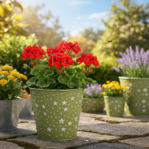 Artículo Maceta plateada y verde, maceta de metal con estrellas, Ø14cm