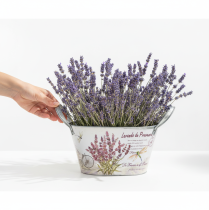 Artículo Bol ovalado de metal con asas para flores, color lavanda, 26 × 13 × 14,5 cm.