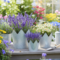 Artículo Juego de 3 macetas decorativas de metal zinc Ø21,5/19,5/17 cm