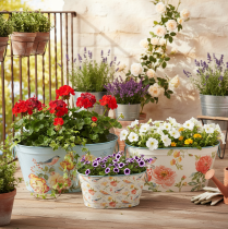 Artículo Macetas de primavera para plantas, ideales para flores o pájaros, con forma ovalada, de metal, 39 x 31 x 24,5 cm (L39/31/24,5 cm), juego de 3.