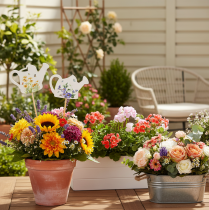 Artículo Estacas decorativas para regaderas, ideales para ramos de flores y decoración floral de balcones, 34 cm, 12 unidades.