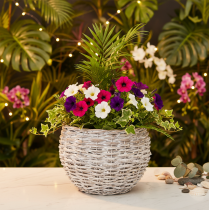 Artículo Cesta redonda tejida, cesta decorativa grande para plantar, 23 cm.