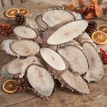 Artículo Rodajas de madera de abedul rodajas de abedul ovaladas 4-9cm 450g