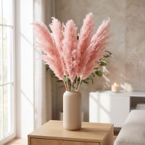 Artículo Hierba de la pampa seca rosa 65-75cm Decoración de flores secas 6 piezas