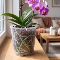 Artículo Maceta para orquídeas transparente Ø15cm 10uds