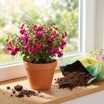 Artículo Sustrato para macetas FlorBest con arcilla natural y fertilizante de liberación lenta, 5 l.