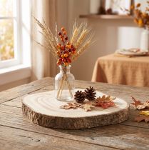 Artículo Rodaja de árbol de Paulownia Ø20-25cm, rebanada de madera decorativa natural