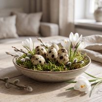 Artículo Huevos de codorniz como decoración, vacíos, naturales, 50 piezas