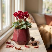 Artículo Macetero Jardinera de cerámica Rojo Hexagonal Ø10cm H9cm
