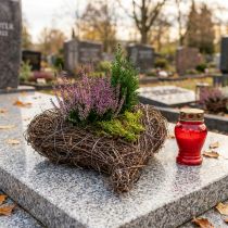 Artículo Cuenco para plantas con forma de corazón de cementerio, corazón de vid para plantar, 15 cm, 2 unidades