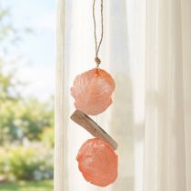 Artículo Percha decoración marítima Conchas de capiz madera flotante naranja natural 35cm