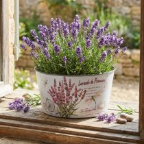 Artículo Macetero lavanda de plástico para flores redondo Ø21cm H11cm