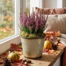 Artículo Jardinera para otoño, cubo de metal con decoración de hojas, recipiente de metal dorado Ø14cm H12.5cm