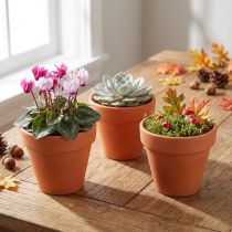 Artículo Macetero barro Ø6cm alto 5cm 10uds