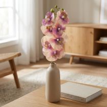 Artículo Orquídea Phalaenopsis artificial 7 flores violeta crema 73cm