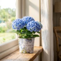 Artículo Maceta de plástico para hortensias Ø13,5cm H12cm