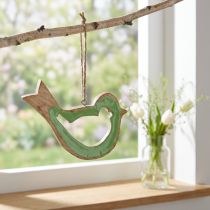 Artículo Decoración de pájaros colgador decorativo de madera verde natural 15,5x1,5x16cm
