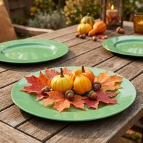 Artículo Plato de plástico resistente de color verde, 28 cm, perfecto para decoración diaria y actividades al aire libre, paquete de 4