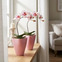 Artículo Maceta, jarrón de plástico, maceta para orquídea, rosa, 16,5 cm de alto, 2 piezas
