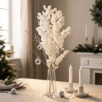 Artículo Espárragos de primavera Espárragos en conserva Blancos 55-70cm 100g