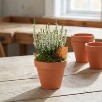 Artículo Macetero barro Ø8cm alto 7cm 10uds