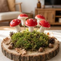 Artículo Setas decorativas para pegar agáricos de mosca en alambre Ø2,5cm 36 piezas