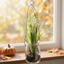 Artículo Jacinto de uva blanco en vaso para colgar Al. 22 cm