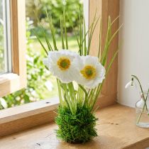 Artículo Amapola Blanca en la hierba 23cm