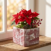 Artículo Macetero de madera cajón decorativo shabby chic rojo blanco 12cm