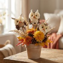 Artículo Tapones de flores decorativos búho decoración de otoño natural Ø4cm H8cm 4ud