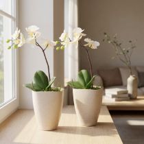 Artículo Maceta para orquídeas, maceta, plástico, beige jaspeado, 13,5x13cm, H16,5cm, 2 piezas