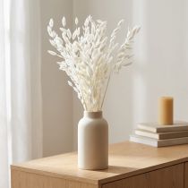 Artículo Canastilla de hoja ancha Hierba seca Chasmantium Blanco 70cm 10uds