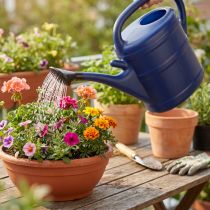 Artículo Regadera de 10 litros, regadera de jardín con rosa, regadera azul de jardín