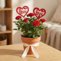 Artículo Tapón flor corazón rojo tapón decorativo de madera Love 7cm 12pcs
