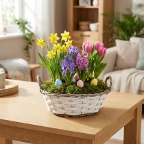 Artículo Cesta de plantación, cesta decorativa, blanca con asas, 25cm