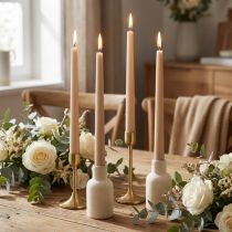 Artículo Velas cónicas Velas Wenzel beige 250/23mm 12 piezas