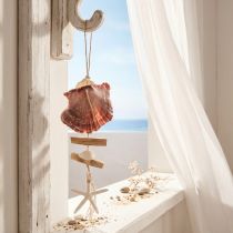 Artículo Percha decorativa marítima concha estrella de mar Ø10–12cm 40cm
