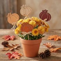 Artículo Estacas de madera con forma de flor de calabaza, acabado naranja y natural, 6,5 x 7 cm, 12 unidades.