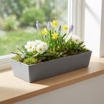 Artículo Maceta versátil de plástico gris, rectangular, de 37 cm, ideal para jardinería de interior y exterior.