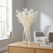 Artículo Hierbas secas blancas de gypsophila para decoración, crema, 65-70 cm, 100 g