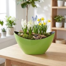 Artículo Cuenco decorativo planta barco verde ovalado 20cmx9cmx12cm