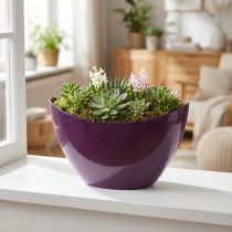 Artículo Cuenco decorativo para plantas en forma de barco violeta 20×9cm H12cm
