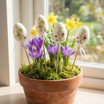 Artículo Huevos de Pascua tapones de plantas de decoración de Pascua de plástico H6cm 12 piezas