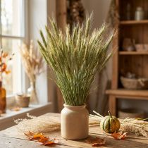 Artículo Decoración de grano de cebada, decoración seca, natural, manojo de 80 cm, 1 pieza
