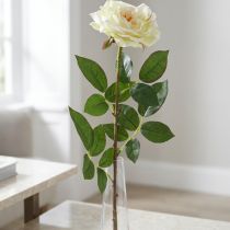 Artículo Rosa artificial, rosa decorativa, flor de seda blanco crema, verde L72cm Ø12cm