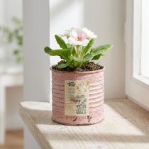 Artículo Maceta decorativa redonda de hojalata con forma de rosa antigua, Ø8cm H7.5cm