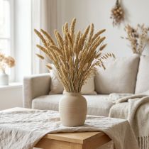 Artículo Flores secas, decoración de mijo, Setaria (mijo zorro), 60 g