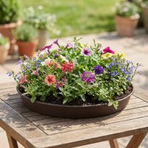 Artículo Anillo de planta "Rondino" Ø35-55cm, 1 pieza