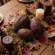 Artículo Fruta de cacao, natural, 10-18 cm, 15 unidades