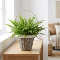 Artículo Cesta de mimbre con asa, gris y blanca, Ø25 cm, H45 cm, cesta decorativa para plantas